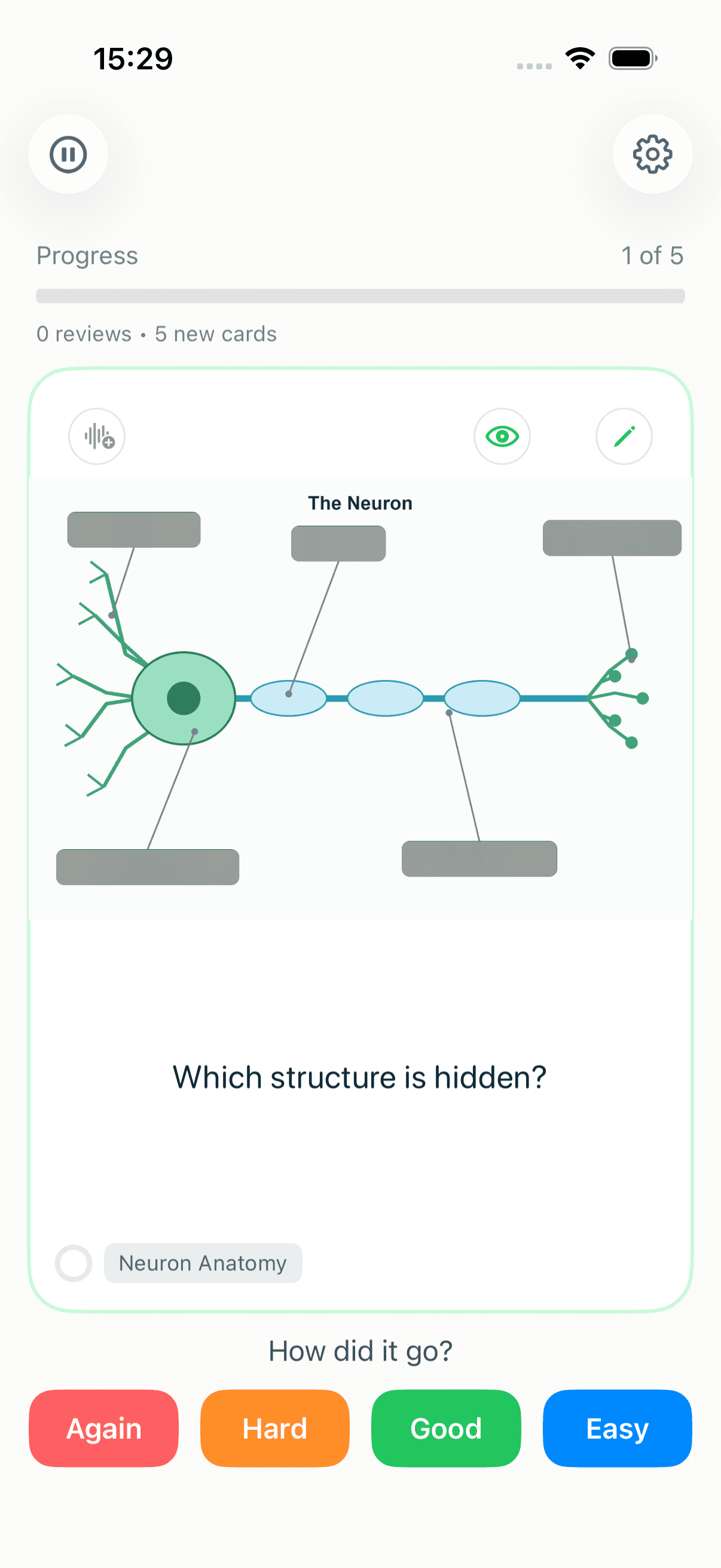 A neuron diagram in MintDeck with all five labels hidden behind masks