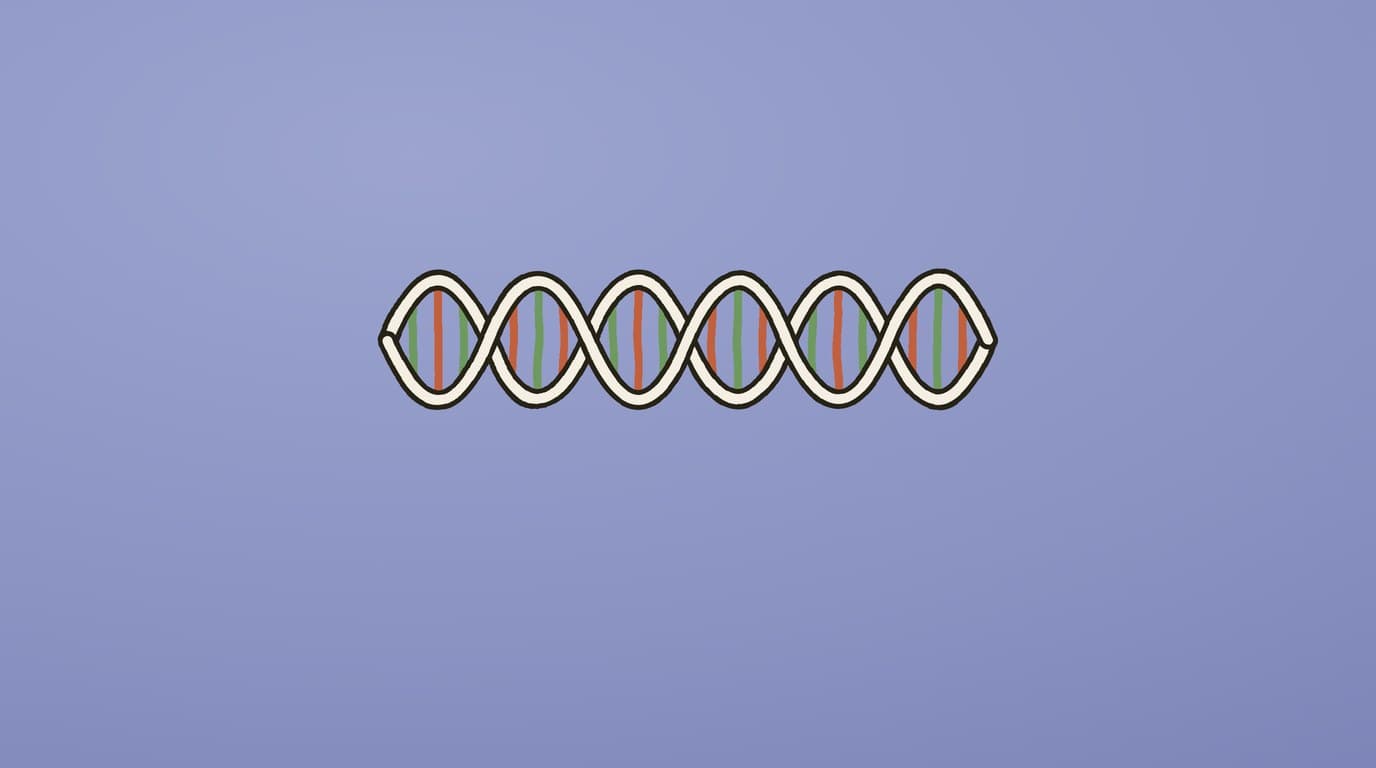Illustration of a paper double helix with green and orange base pairs