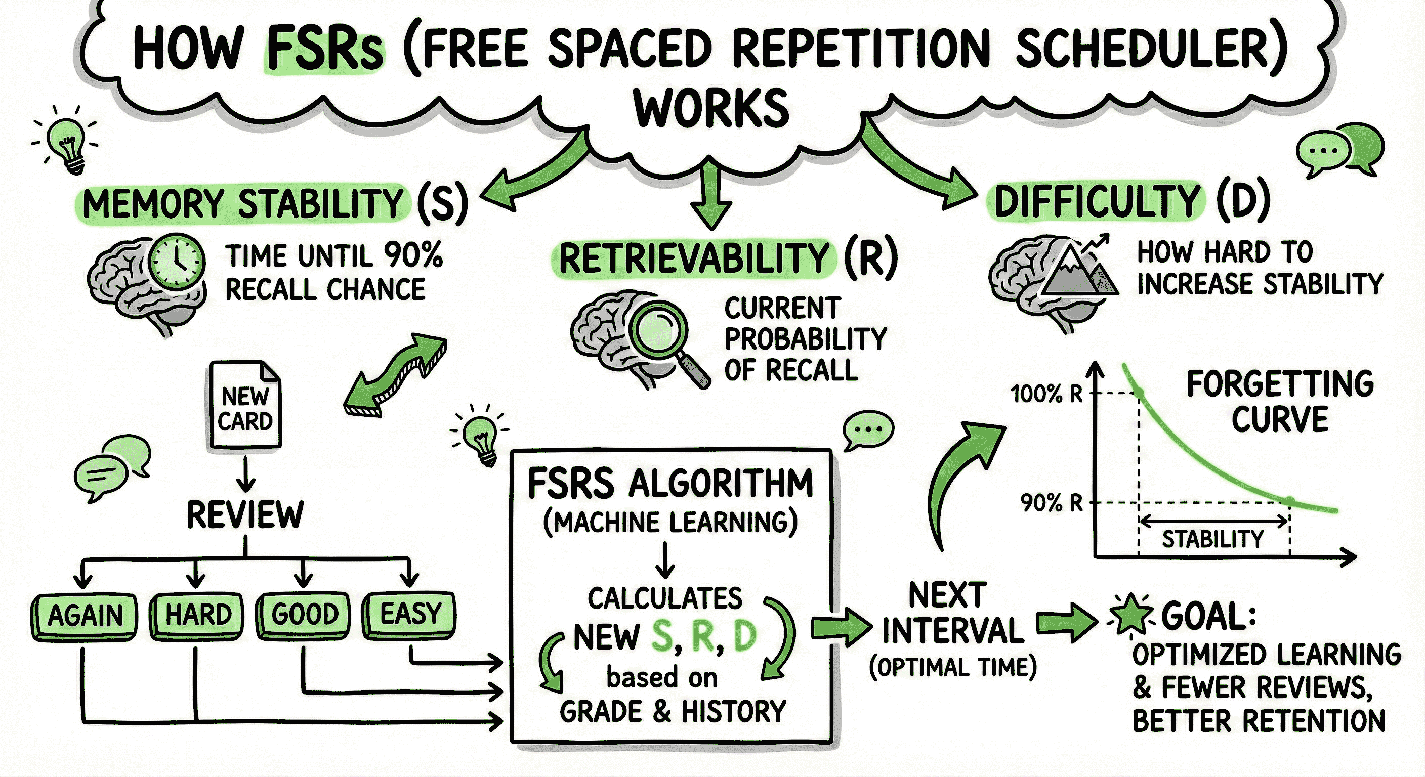 Visual representation of FSRS spaced repetition algorithm with memory curves