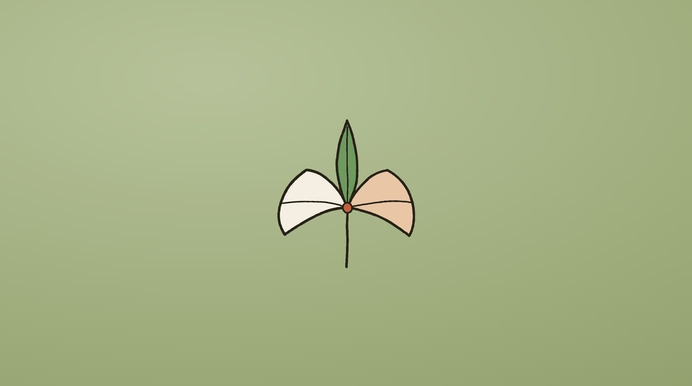 A tidy MintDeck library — tagged cards grouped into folders