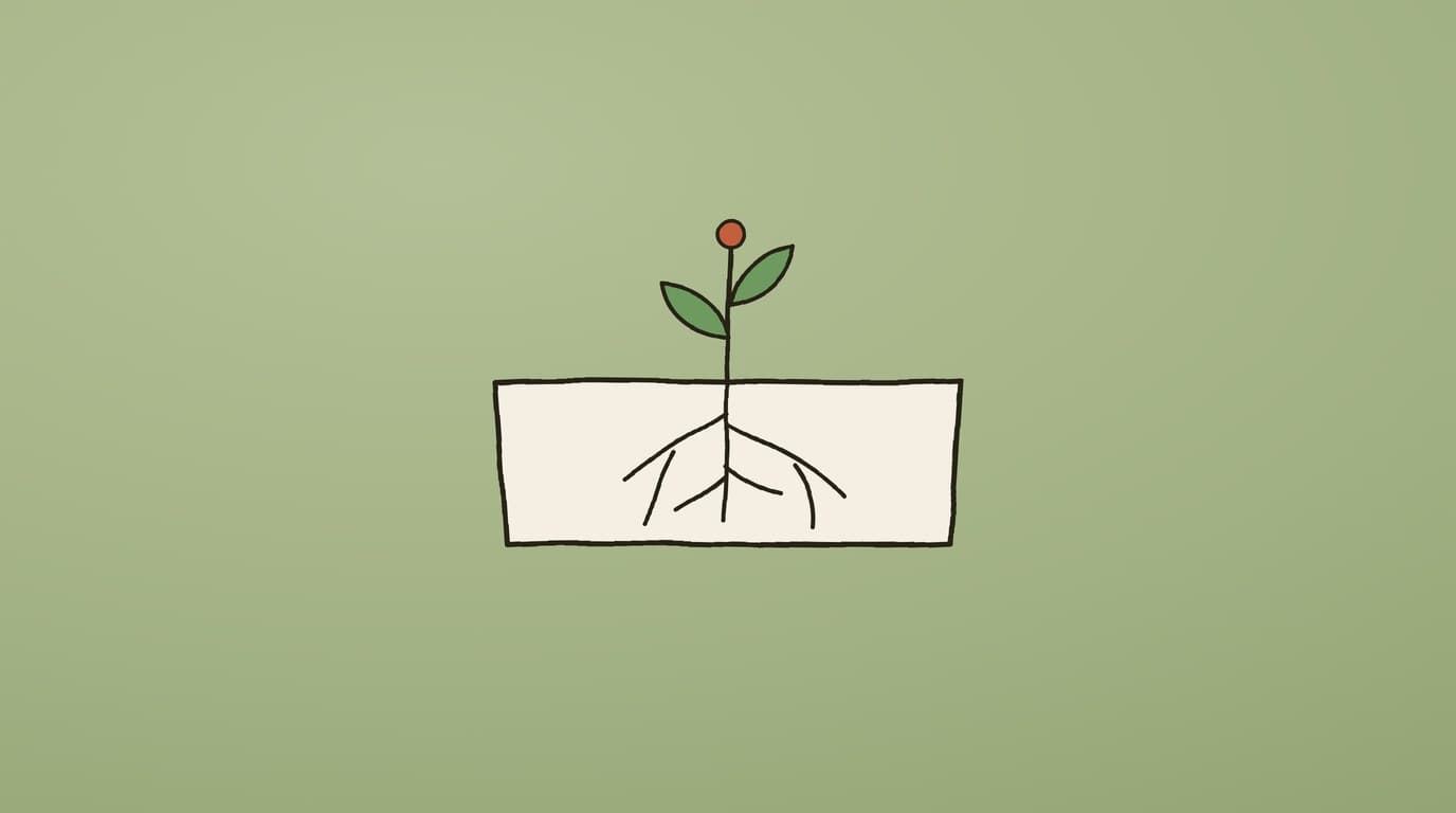 Illustration of a young plant with its roots showing in a cutaway of soil