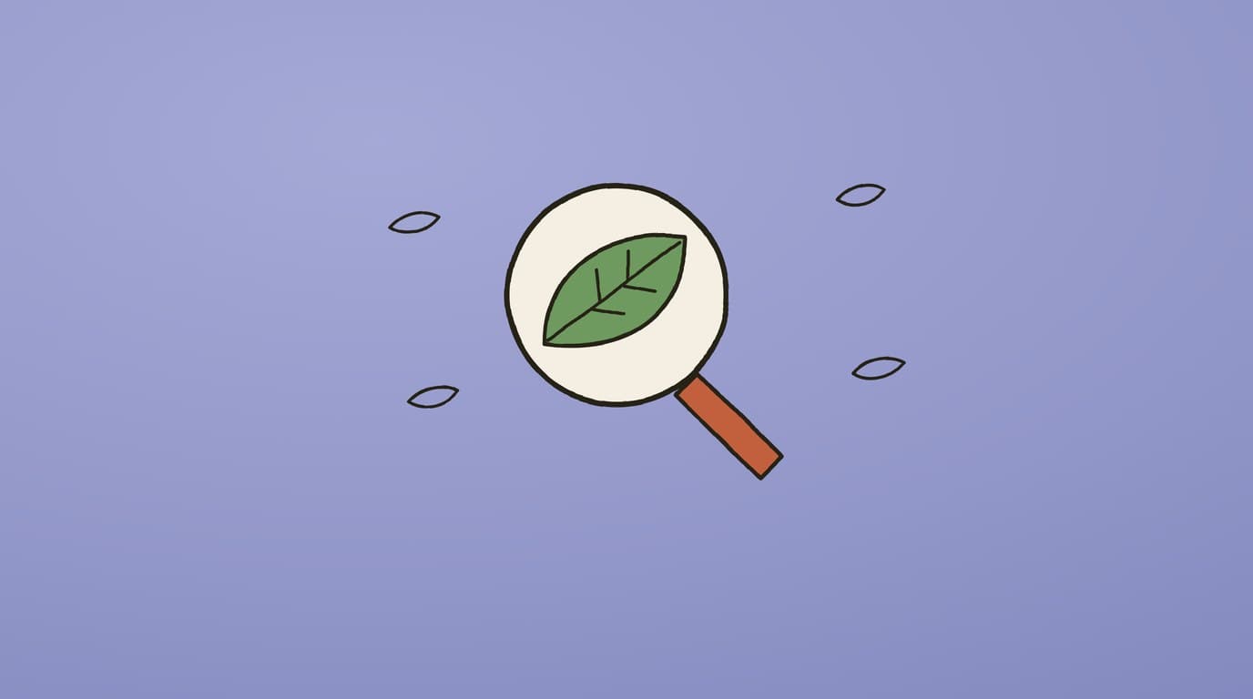 Illustration of a magnifying glass focused on a single green leaf among scattered smaller leaves